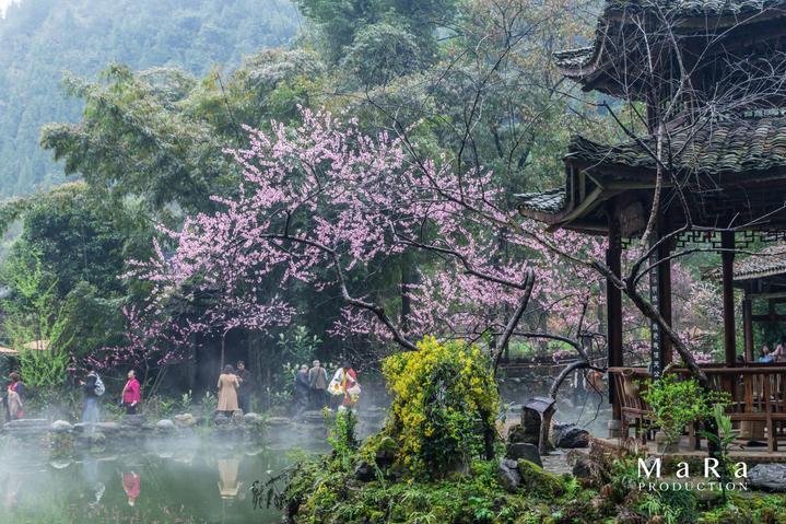 紫光国微(002049.SZ):5G通信石英晶体振荡器产业化项目已基本完成建设,开始投产